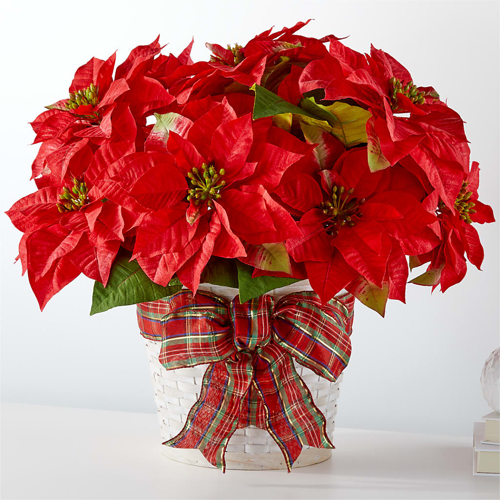 Happiest Holidays Poinsettia – Backroads Florist, Blairsville GA