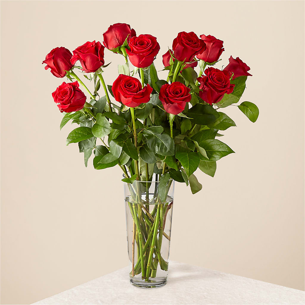 Long Stem Red Rose Bouquet – Backroads Florist, Blairsville GA