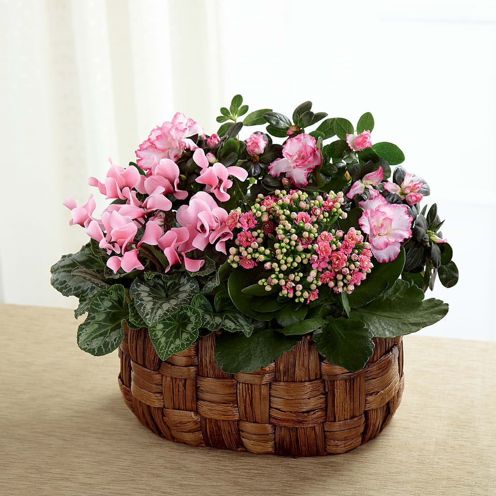 Pink Assortment – Backroads Florist, Blairsville GA