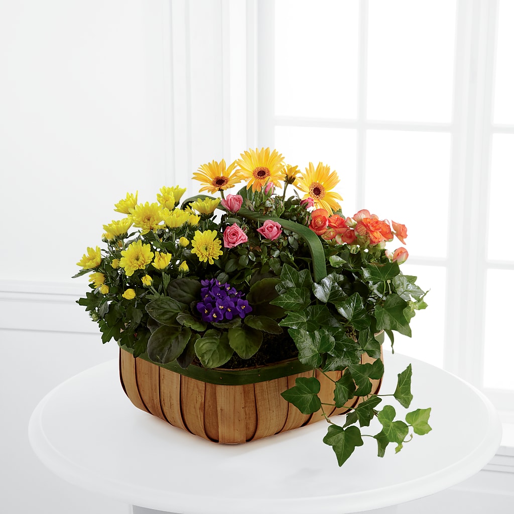 Gentle Blossoms Basket – Backroads Florist, Blairsville GA