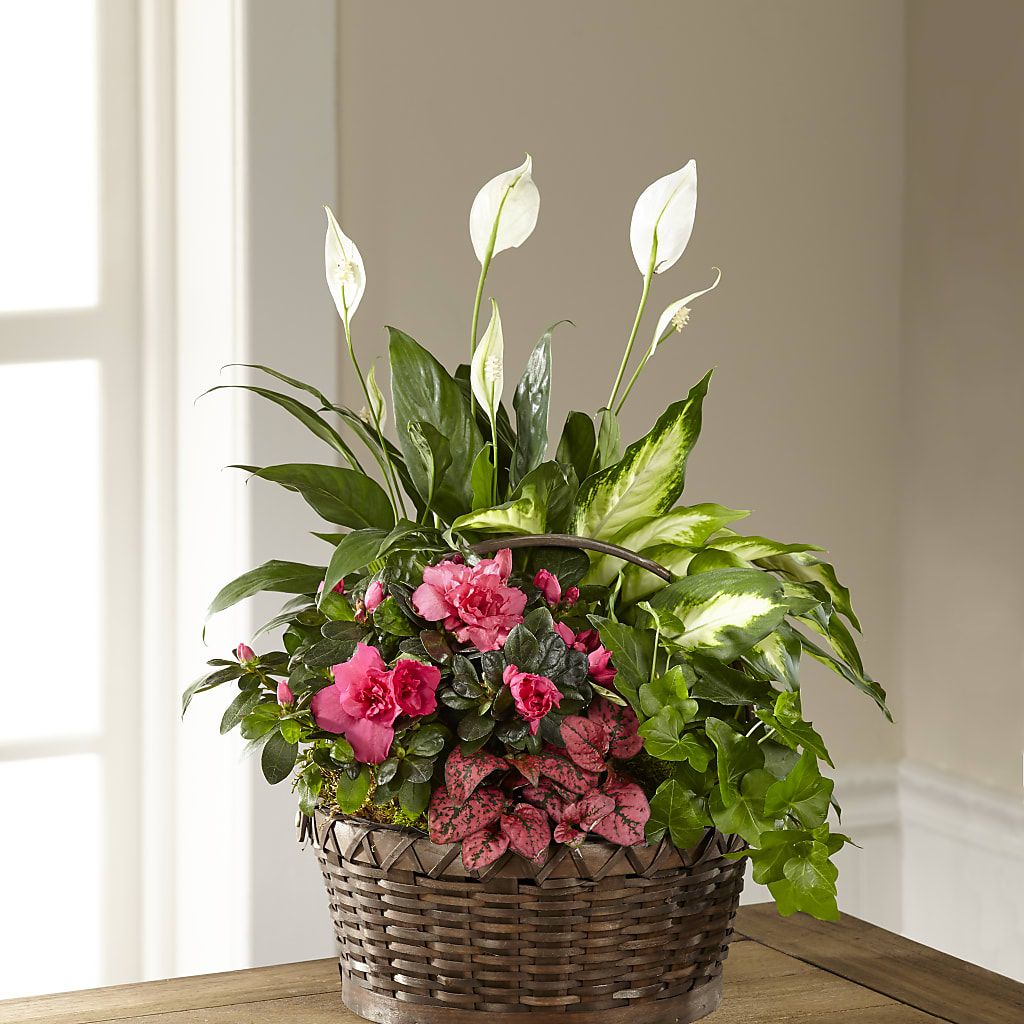 Dream in Pink Dishgarden – Backroads Florist, Blairsville GA