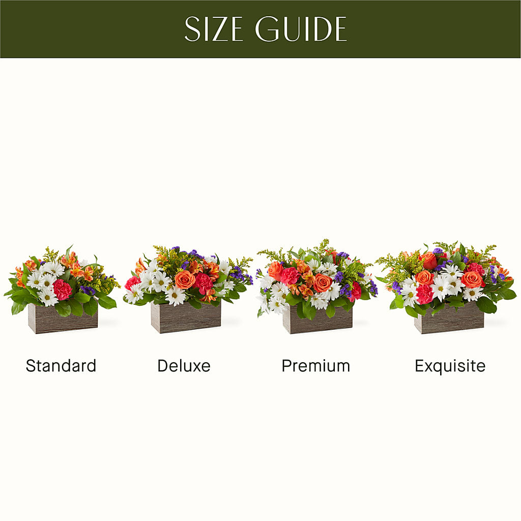 Oopsie Daisy Box Bouquet – Backroads Florist, Blairsville GA