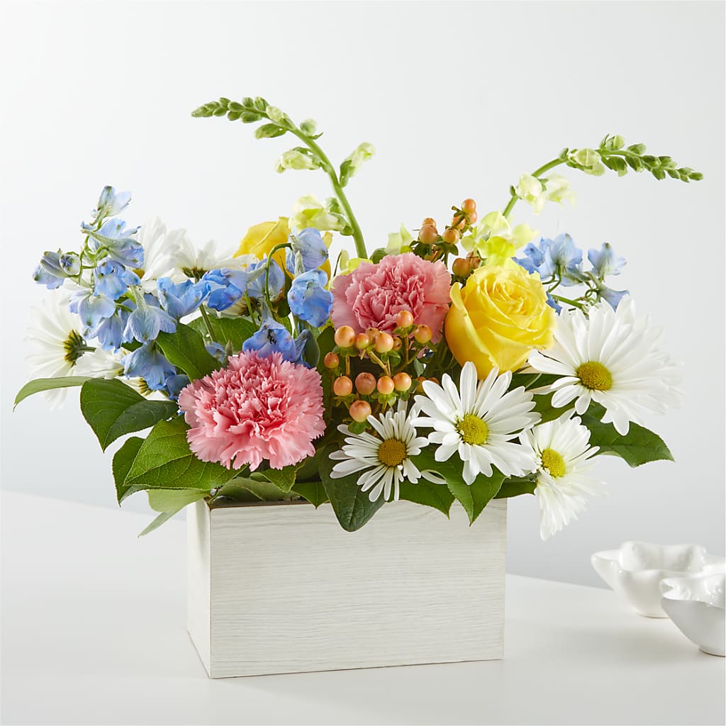 Sun Salutation Box Bouquet – Backroads Florist, Blairsville GA