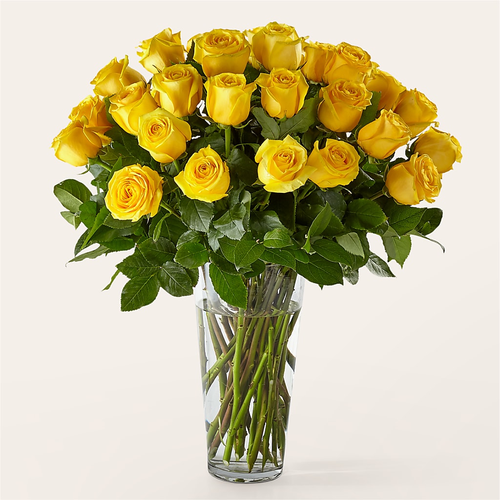 Long Stem Yellow Rose Bouquet – Backroads Florist, Blairsville GA