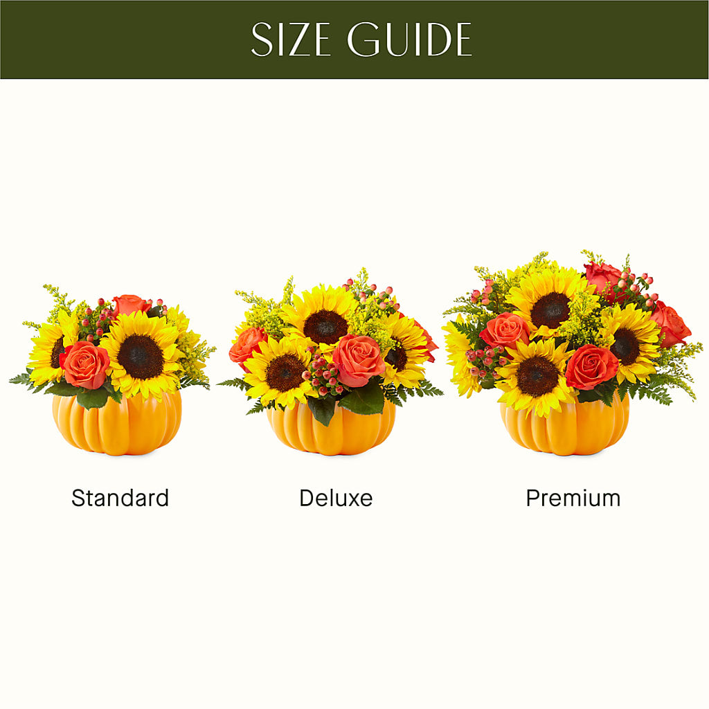 Pick of the Patch Pumpkin Bouquet – Backroads Florist, Blairsville GA