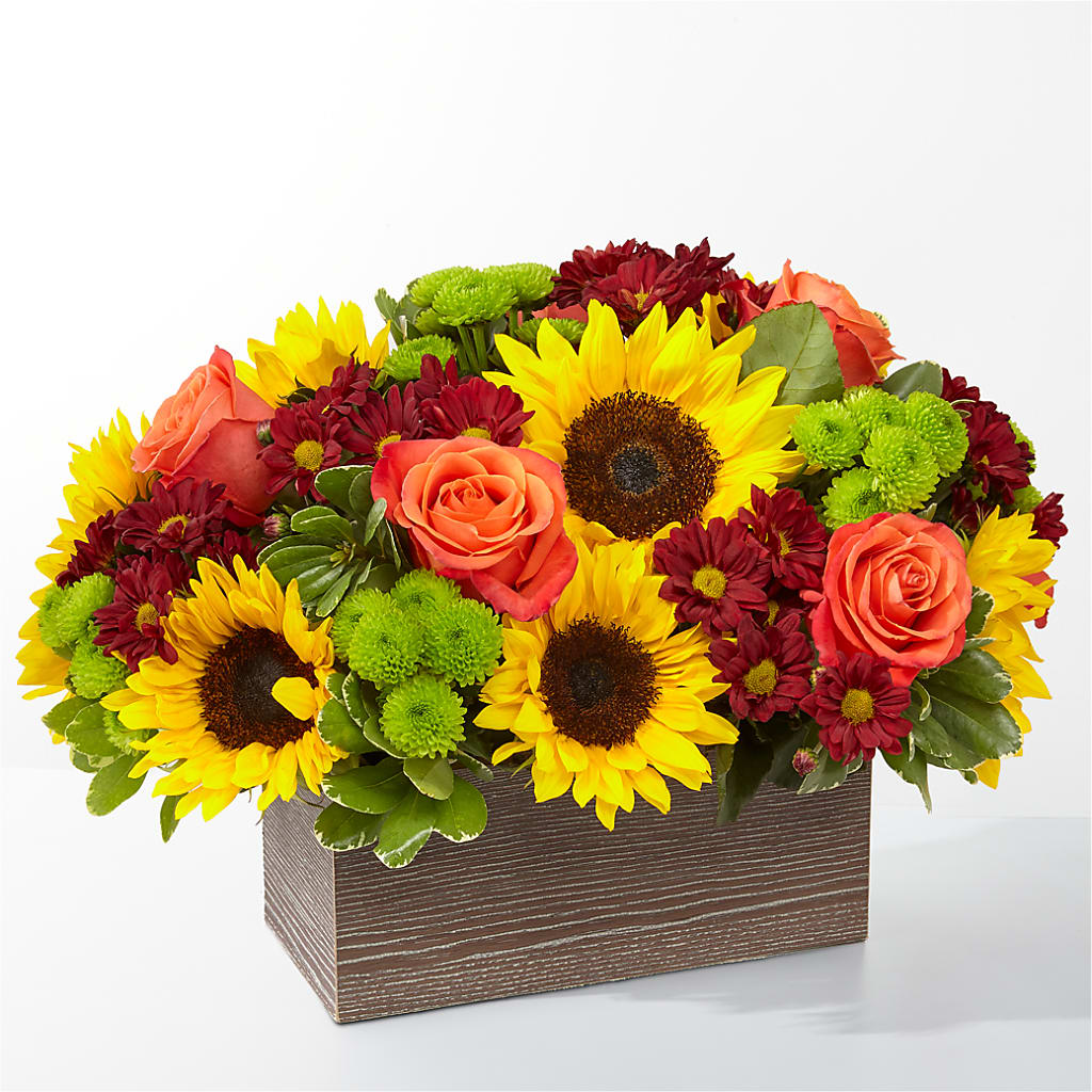 Happy Harvest Garden – Backroads Florist, Blairsville GA