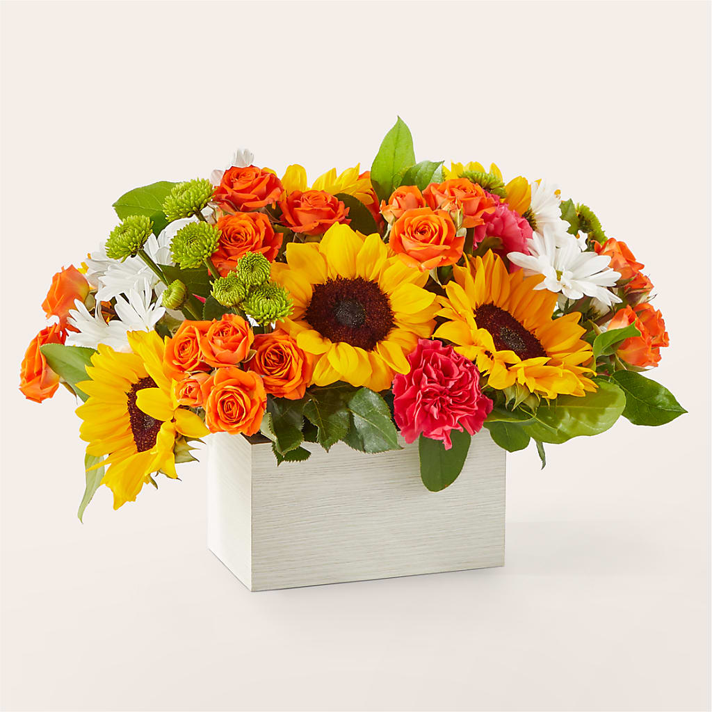 Sun-drenched Blooms Box Bouquet – Backroads Florist, Blairsville GA
