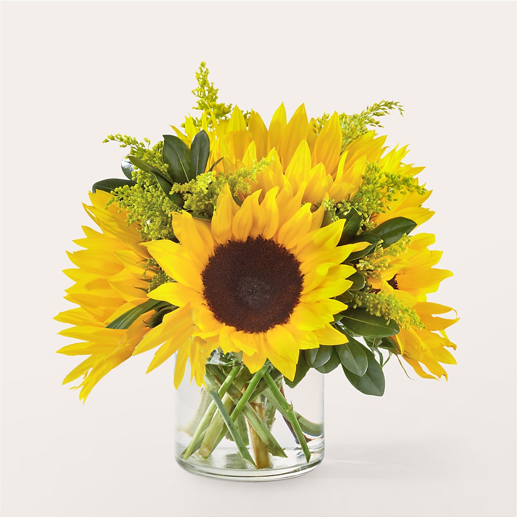Beaming Sunflower Bouquet – Backroads Florist, Blairsville GA