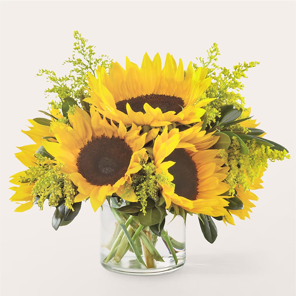 Beaming Sunflower Bouquet – Backroads Florist, Blairsville GA