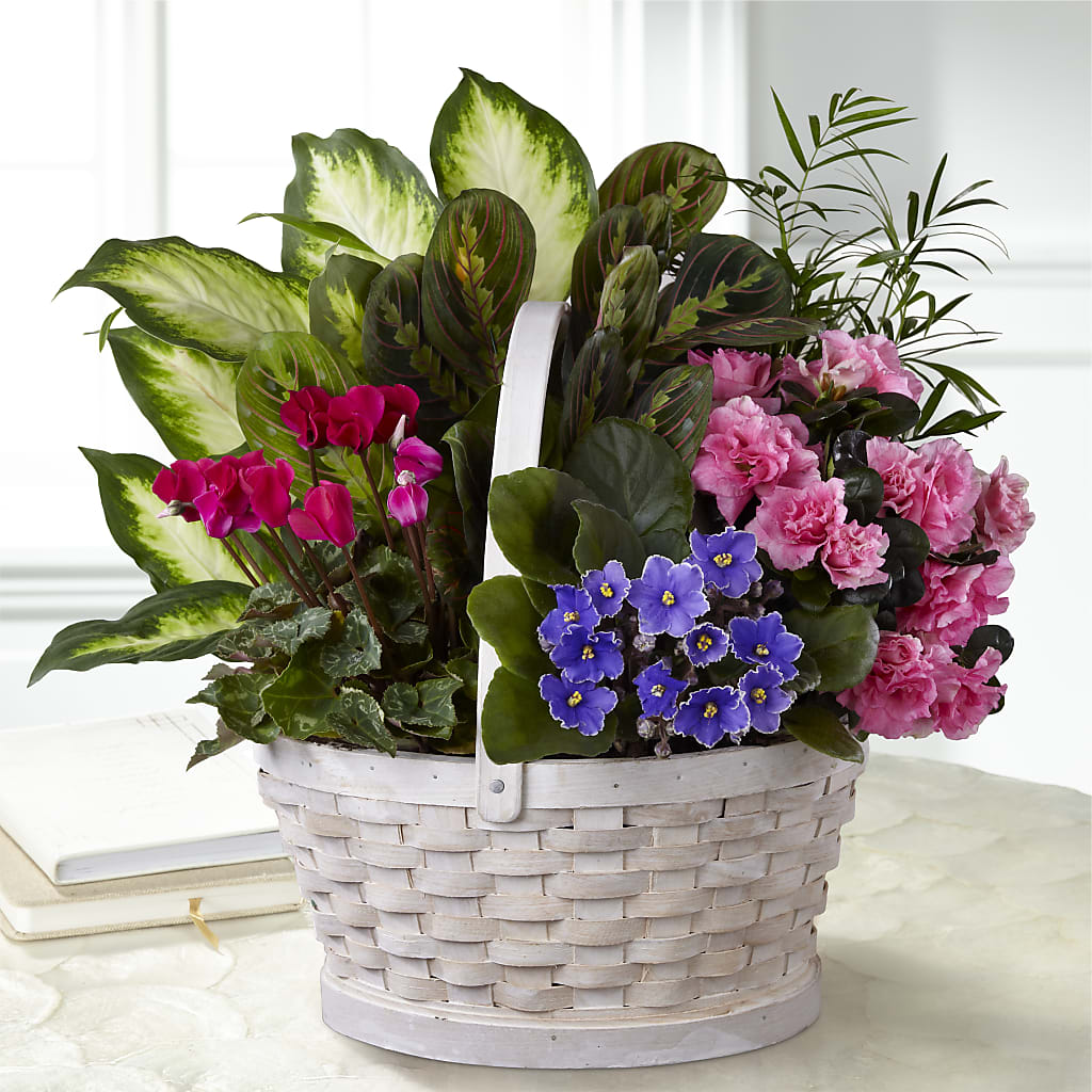 Peaceful Garden Planter – Backroads Florist, Blairsville GA