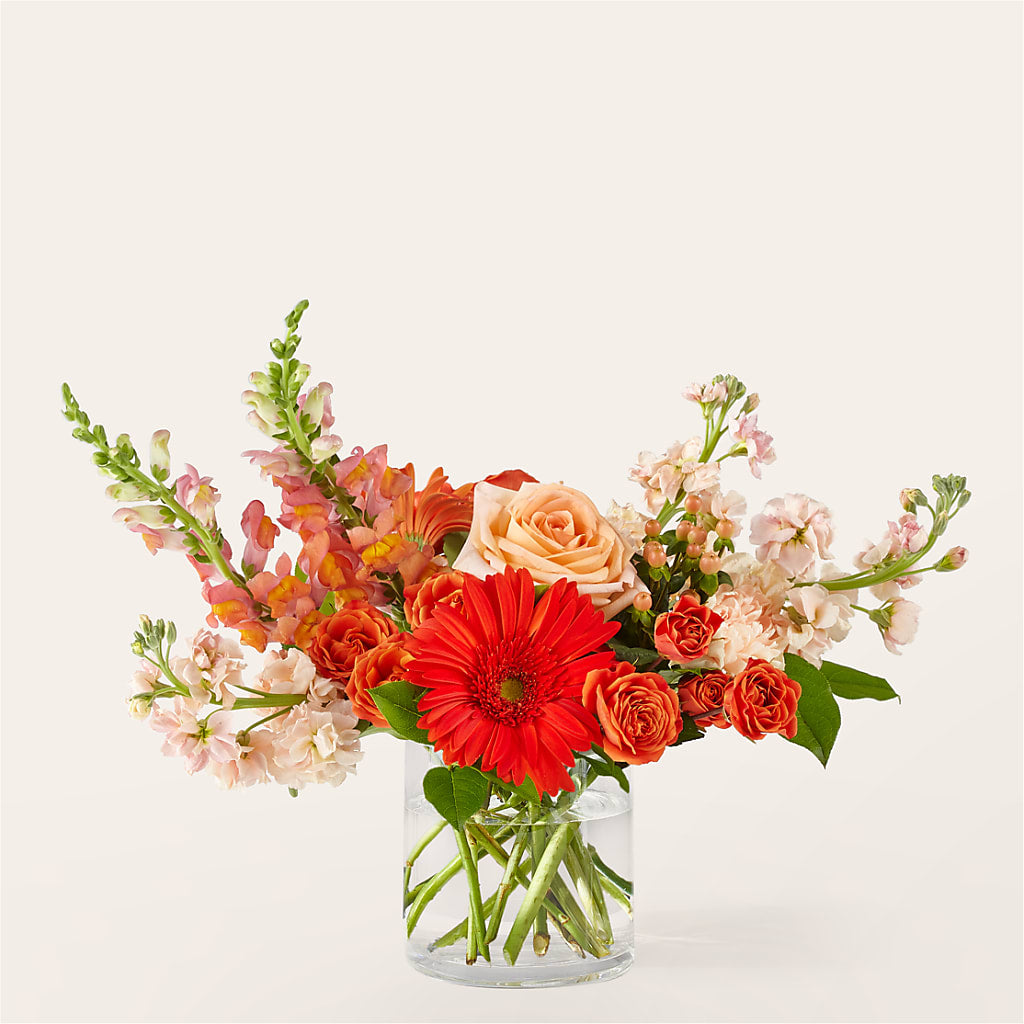 Paloma Please Bouquet – Backroads Florist, Blairsville GA