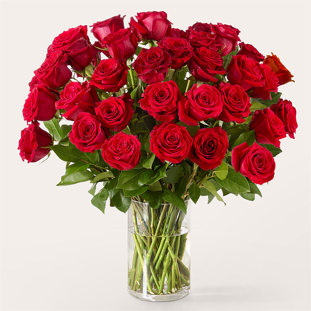 The One Red Rose Bouquet – Backroads Florist, Blairsville GA