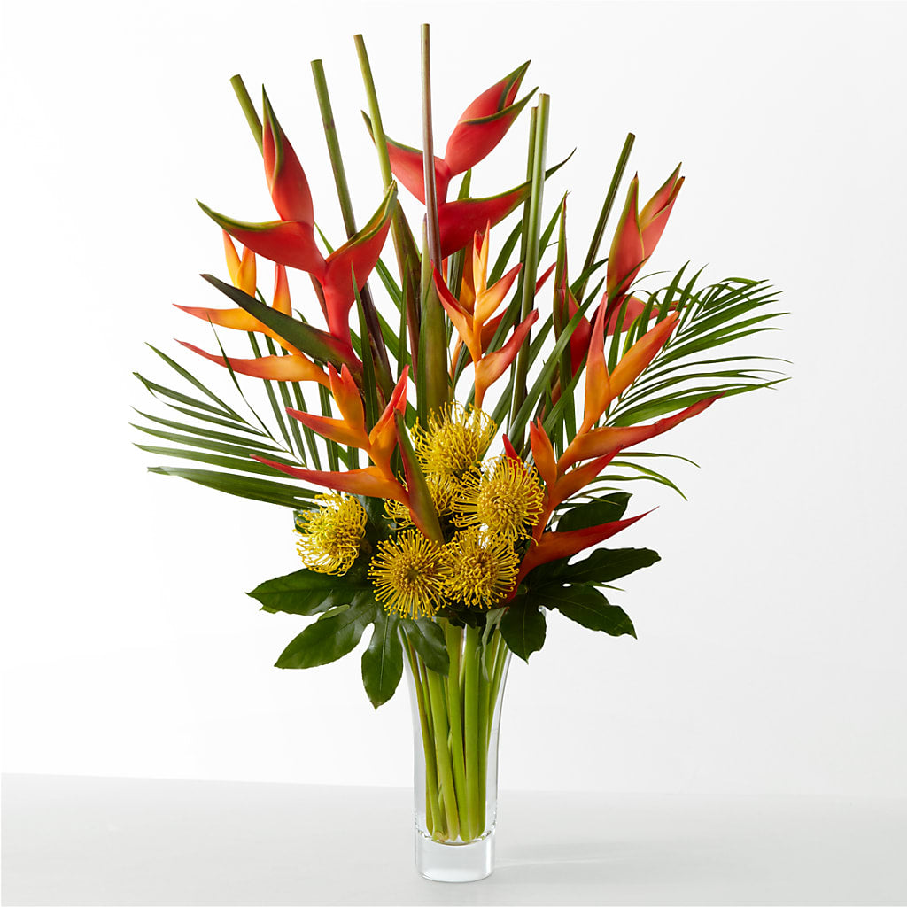 The Drama – Backroads Florist, Blairsville GA