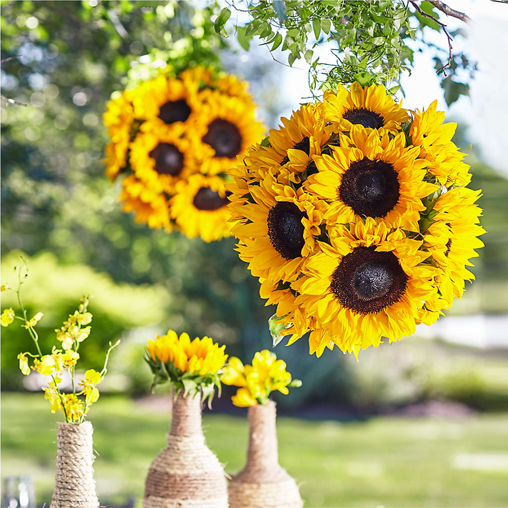 Sublime Garden Hanging Arrangement – Backroads Florist, Blairsville GA