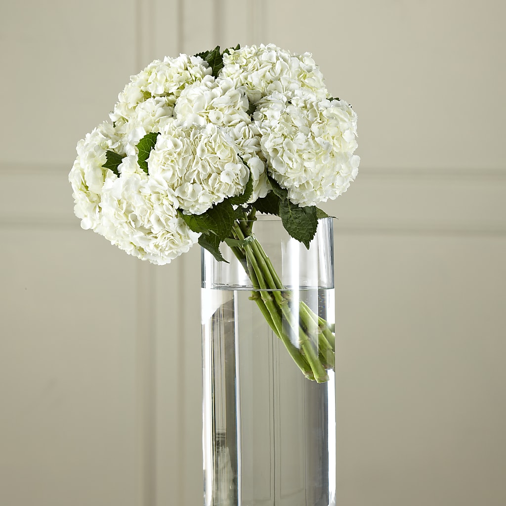White Hydrangea Hand-Tied Bouquet – Backroads Florist, Blairsville GA
