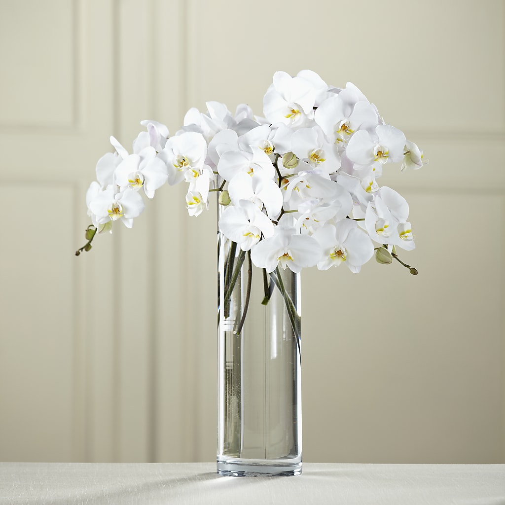 White Phalaenopsis Bouquet – Backroads Florist, Blairsville GA