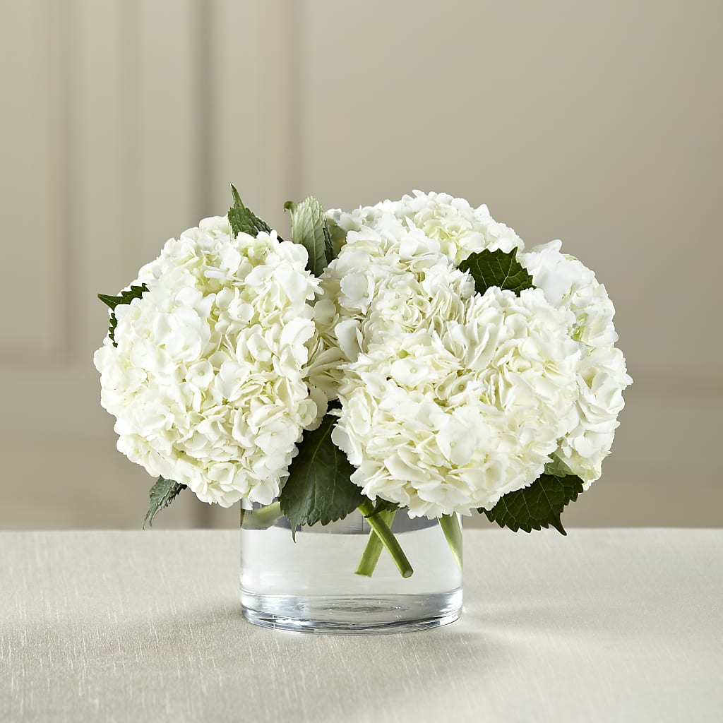 White Hydrangea Bouquet – Backroads Florist, Blairsville GA