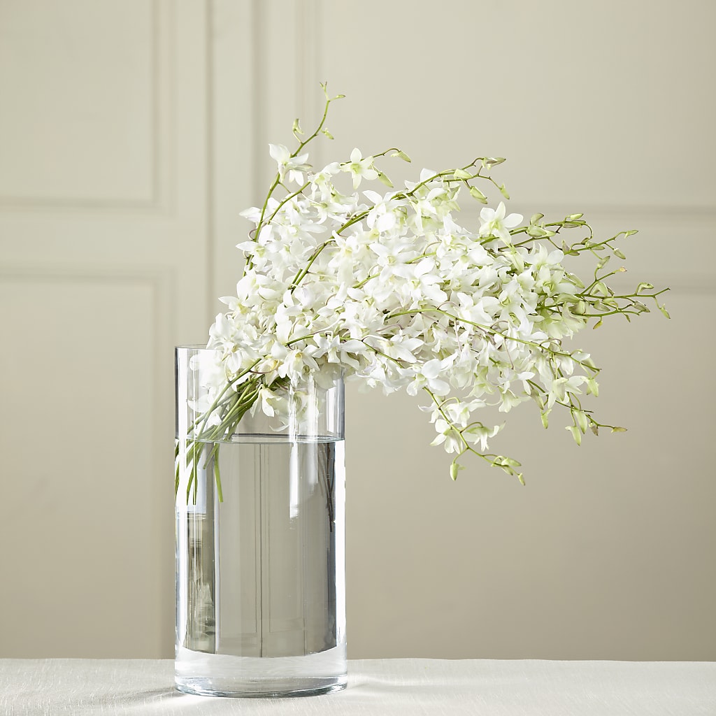 White Dendrobium Bouquet – Backroads Florist, Blairsville GA