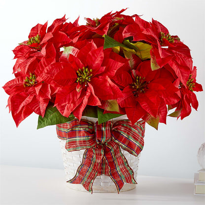 Happiest Holidays Poinsettia –  Backroads Florist, Blairsville GA