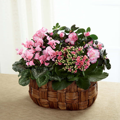 Pink Assortment –  Backroads Florist, Blairsville GA