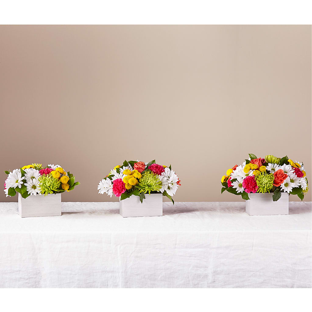 Sorbet Bouquet –  Backroads Florist, Blairsville GA