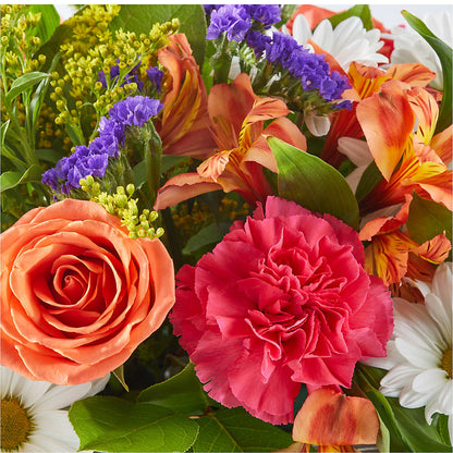 Oopsie Daisy Box Bouquet –  Backroads Florist, Blairsville GA