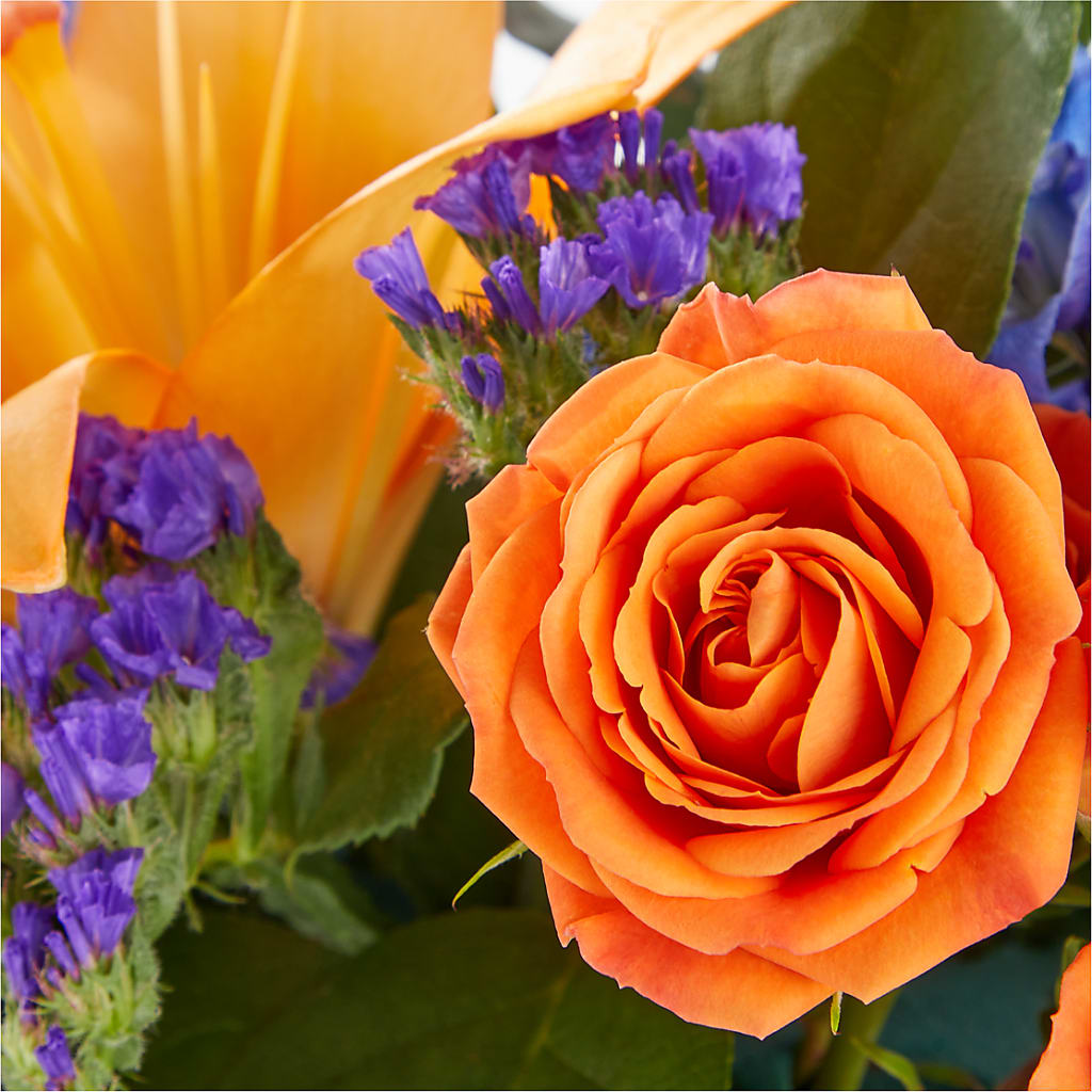 Radiant Citrus Box Bouquet –  Backroads Florist, Blairsville GA