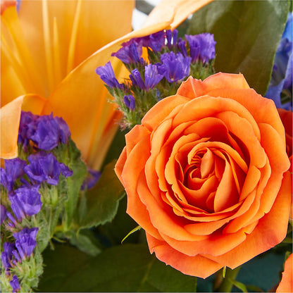 Radiant Citrus Box Bouquet –  Backroads Florist, Blairsville GA