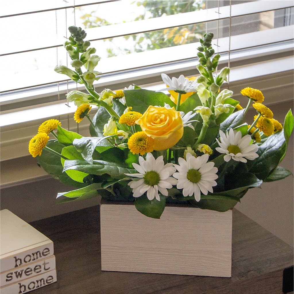 Sun Salutation Box Bouquet –  Backroads Florist, Blairsville GA