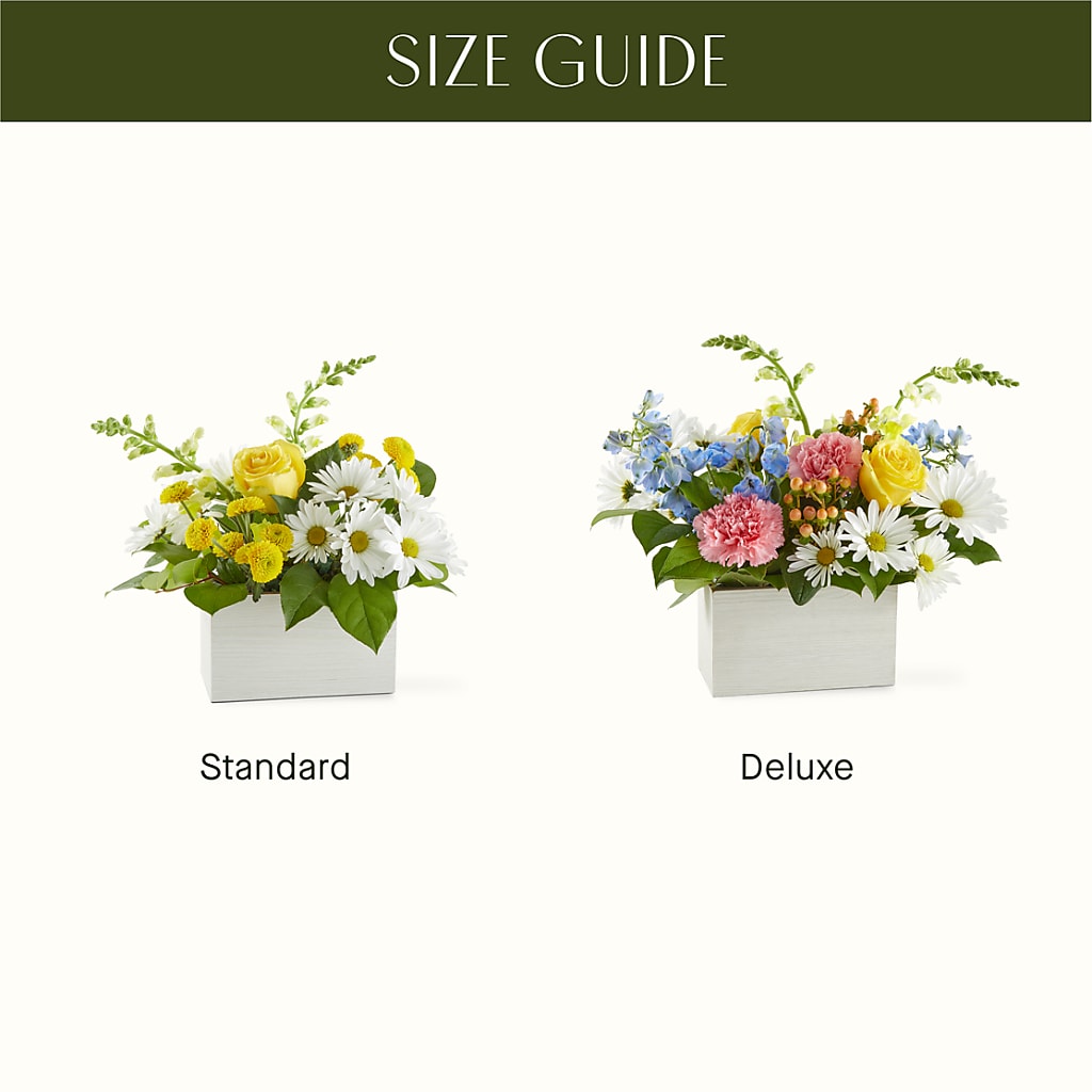 Sun Salutation Box Bouquet –  Backroads Florist, Blairsville GA
