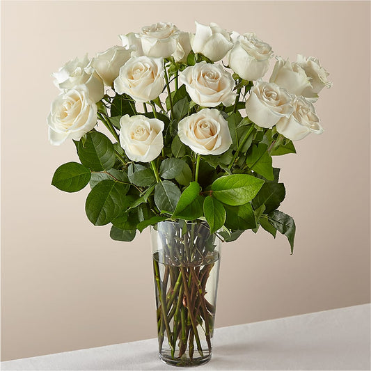 Long Stem White Rose Bouquet –  Backroads Florist, Blairsville GA