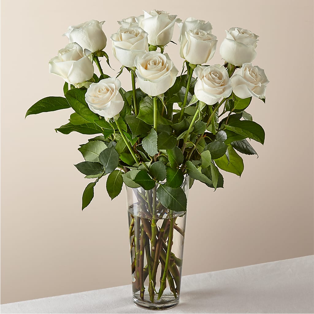 Long Stem White Rose Bouquet –  Backroads Florist, Blairsville GA