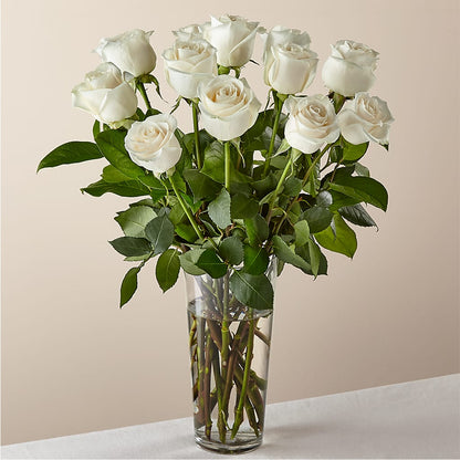 Long Stem White Rose Bouquet –  Backroads Florist, Blairsville GA