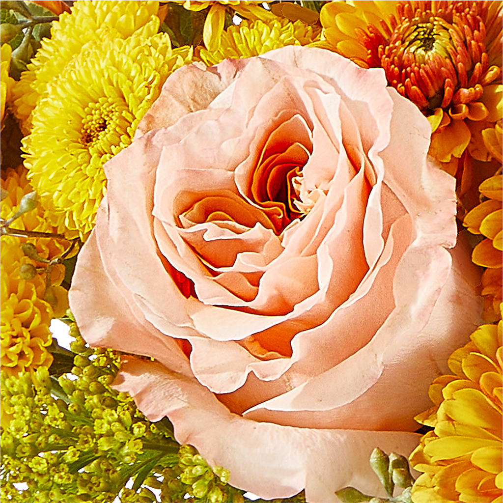 Peachy Pumpkin –  Backroads Florist, Blairsville GA