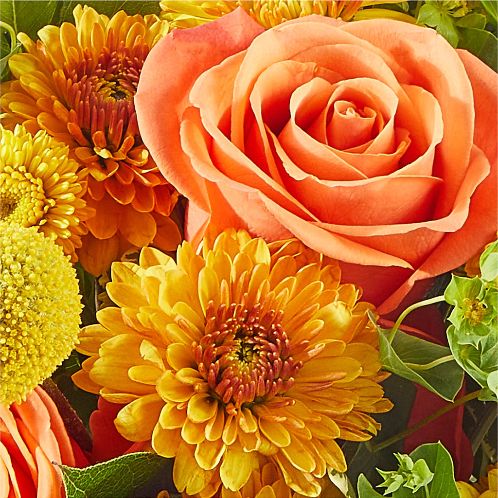 Gourdgeous Pumpkin –  Backroads Florist, Blairsville GA