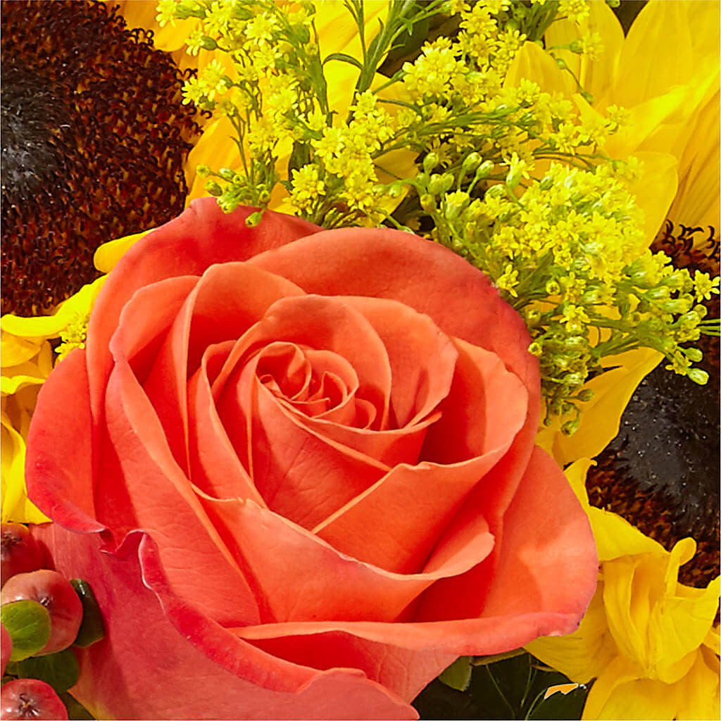 Pick of the Patch Pumpkin Bouquet –  Backroads Florist, Blairsville GA
