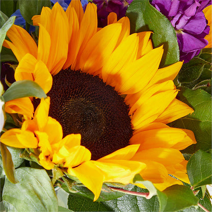 Catching Rays Bouquet –  Backroads Florist, Blairsville GA