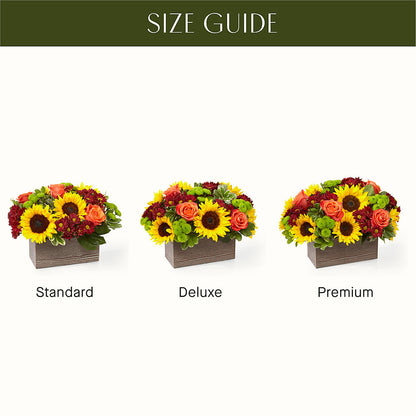 Happy Harvest Garden –  Backroads Florist, Blairsville GA
