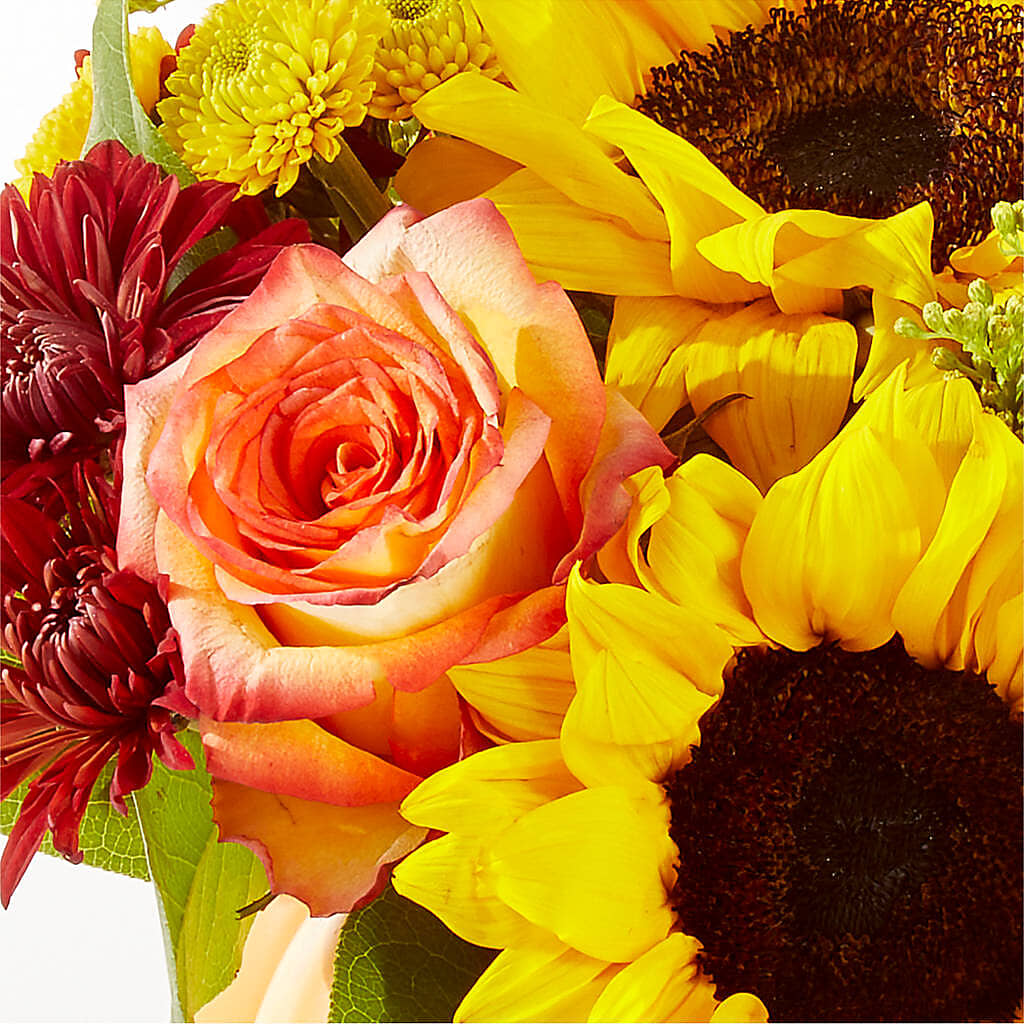 Golden Gourd Pumpkin Bouquet –  Backroads Florist, Blairsville GA