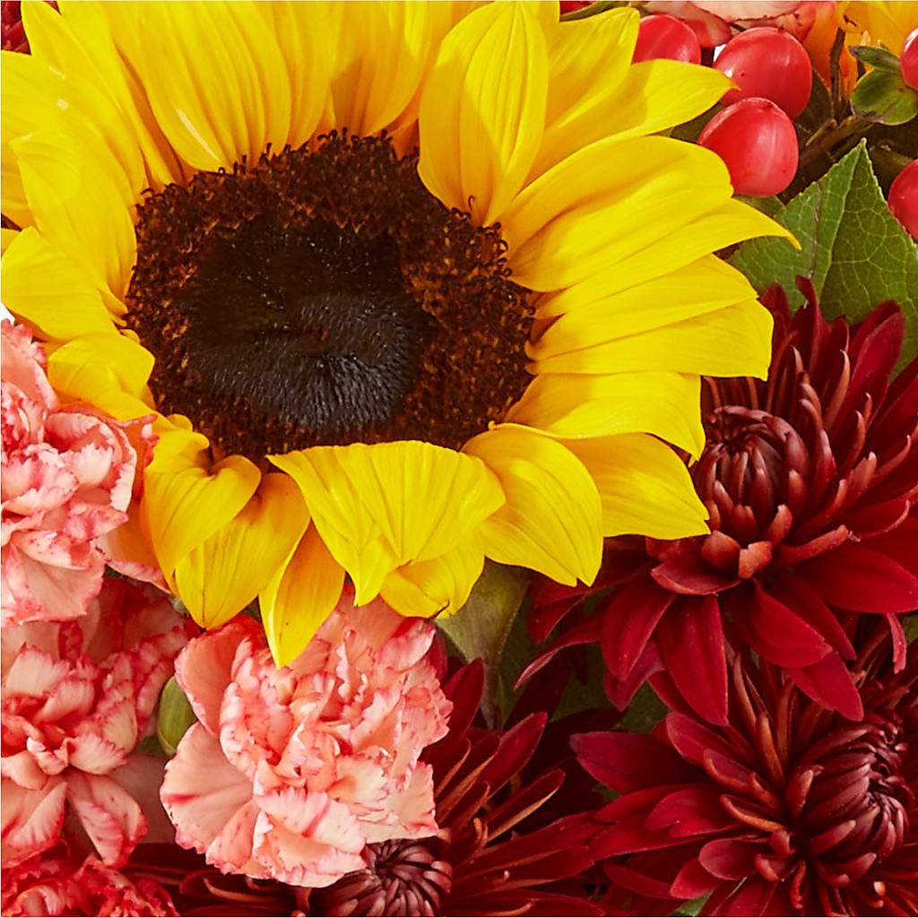 Fresh Cider Bouquet –  Backroads Florist, Blairsville GA