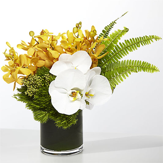 The Tropics –  Backroads Florist, Blairsville GA