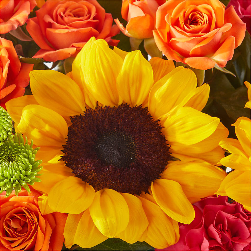 Sun-drenched Blooms Box Bouquet –  Backroads Florist, Blairsville GA