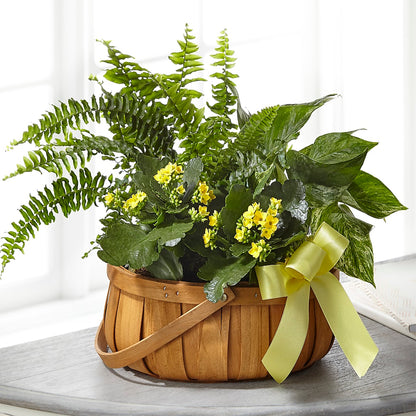 Always Dear Dishgarden –  Backroads Florist, Blairsville GA