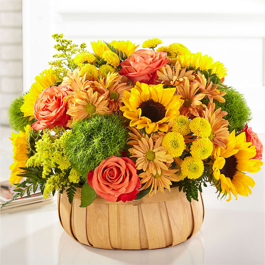 Harvest Sunflower Basket –  Backroads Florist, Blairsville GA