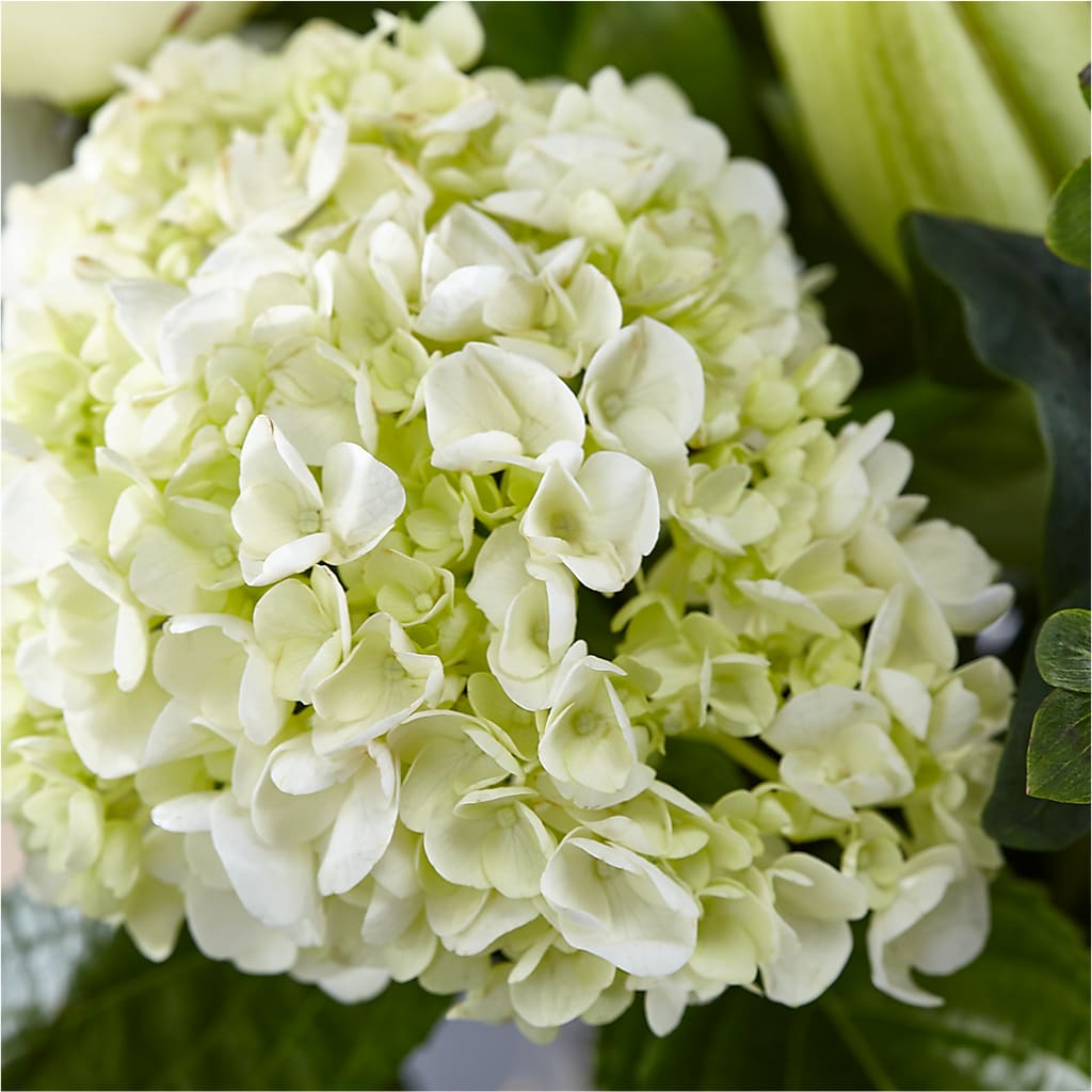 Classic Ivory – A Florist Original –  Backroads Florist, Blairsville GA