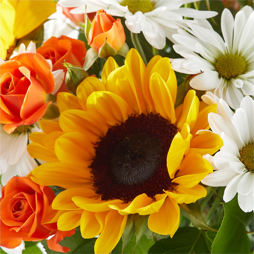 Sun-drenched Blooms Bouquet –  Backroads Florist, Blairsville GA