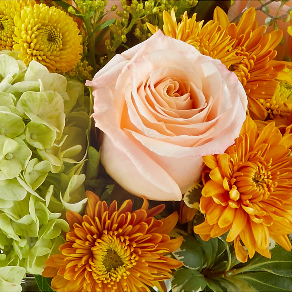 Fall Foliage Bouquet –  Backroads Florist, Blairsville GA
