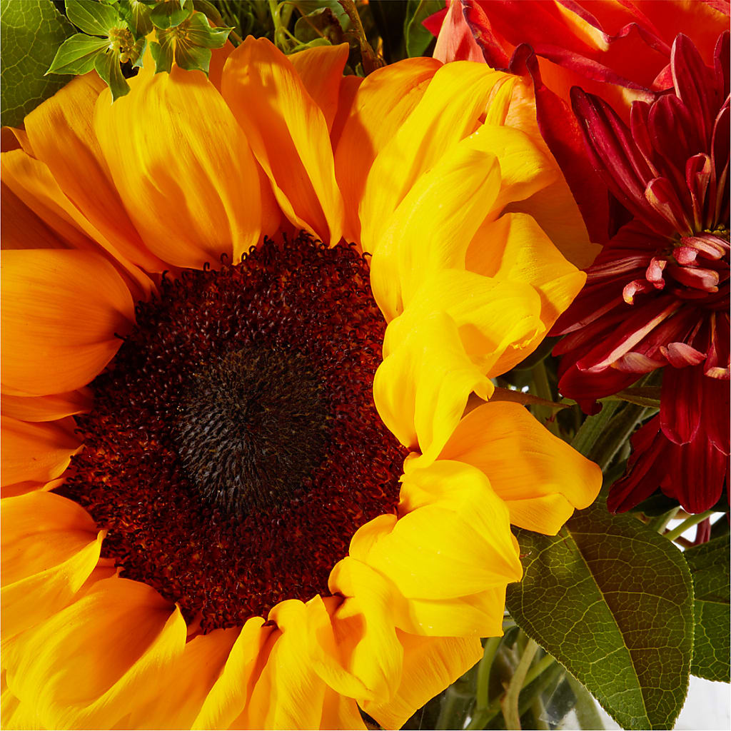 Harvest Festival Bouquet –  Backroads Florist, Blairsville GA