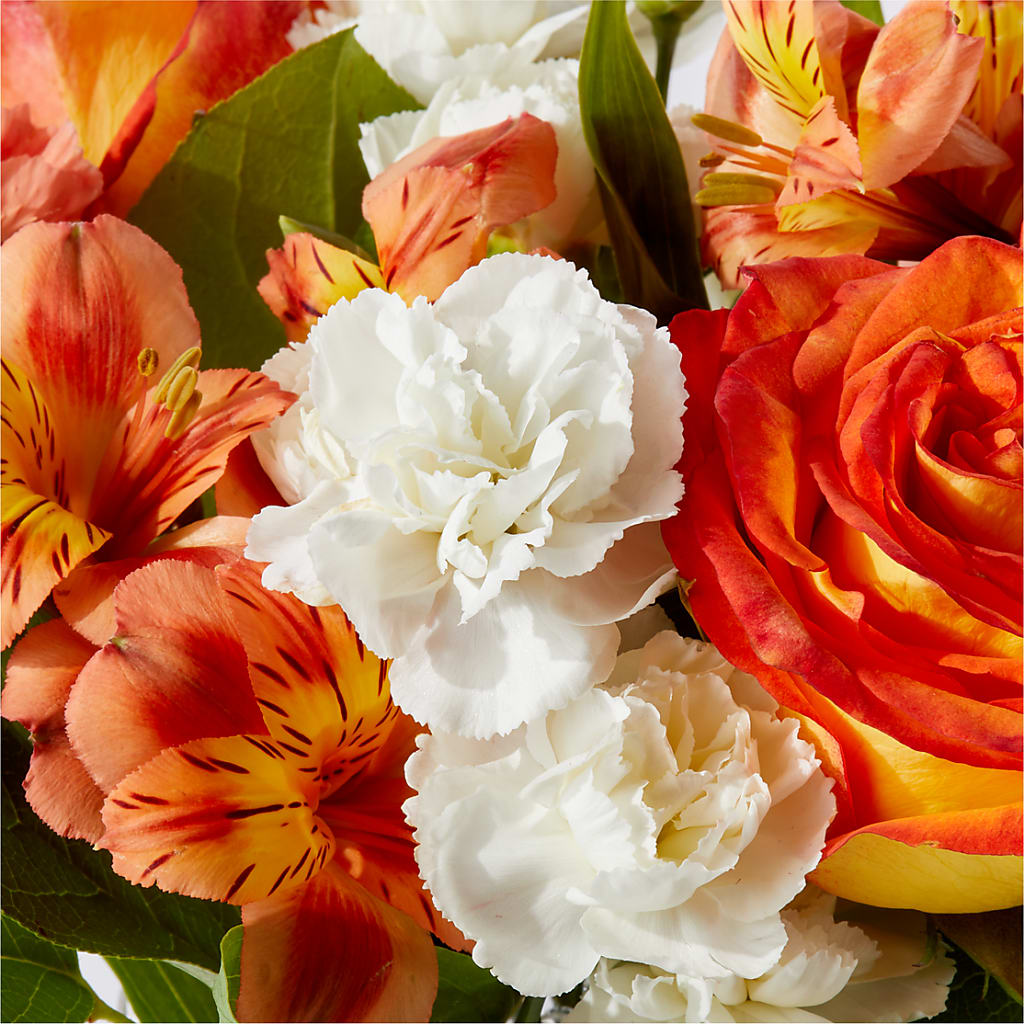 Apricot Glow Bouquet –  Backroads Florist, Blairsville GA