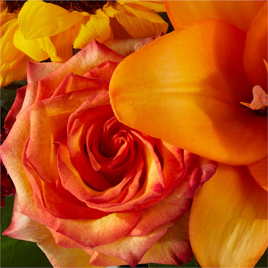 Grateful Centerpiece –  Backroads Florist, Blairsville GA